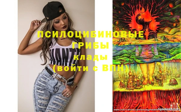 стафф Майский