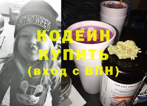 стафф Майский
