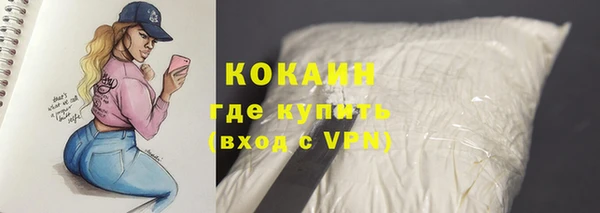 стафф Майский