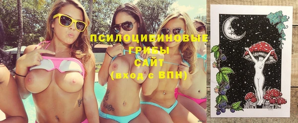 стафф Майский