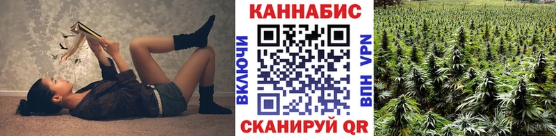 купить наркотики цена  Тбилисская  Канабис план 